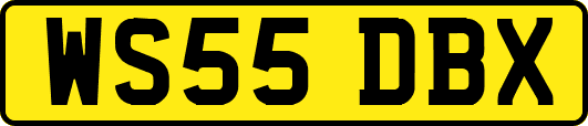WS55DBX