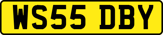 WS55DBY