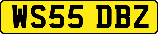 WS55DBZ
