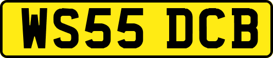 WS55DCB