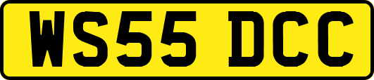 WS55DCC