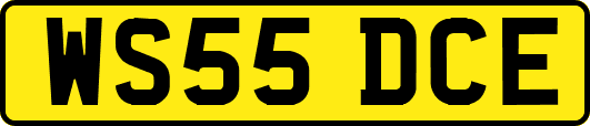 WS55DCE