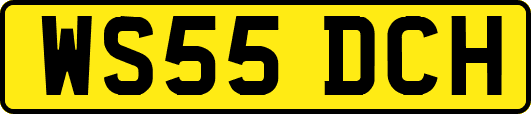 WS55DCH