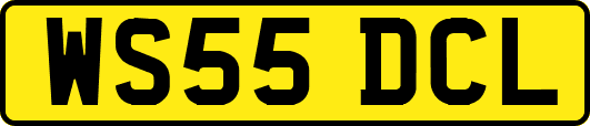 WS55DCL