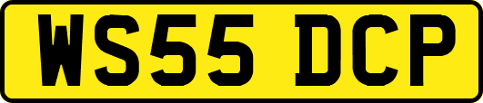 WS55DCP