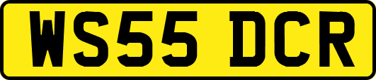WS55DCR