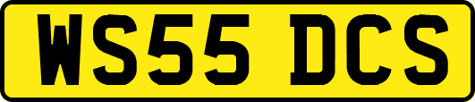 WS55DCS