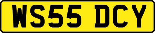 WS55DCY