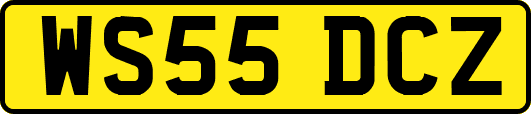 WS55DCZ