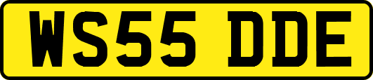 WS55DDE