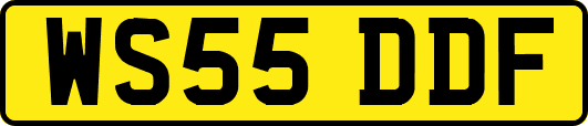 WS55DDF