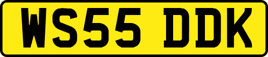 WS55DDK