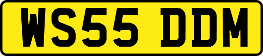 WS55DDM