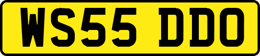 WS55DDO