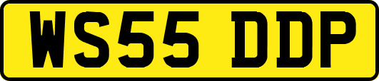 WS55DDP