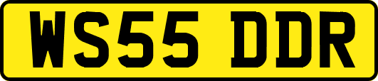 WS55DDR