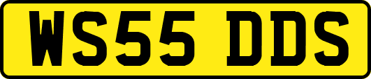 WS55DDS