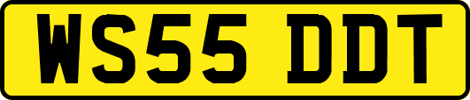 WS55DDT