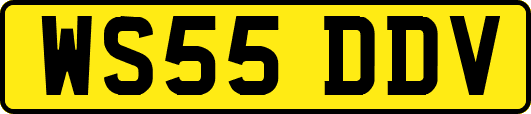 WS55DDV