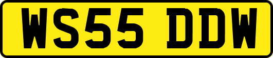WS55DDW
