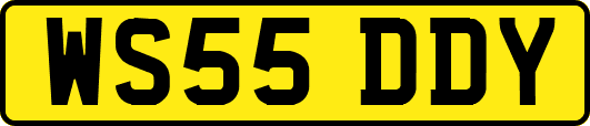 WS55DDY