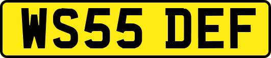 WS55DEF