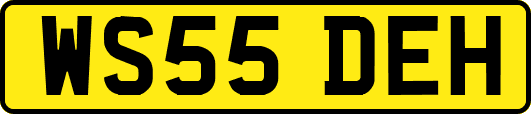 WS55DEH
