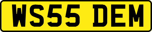 WS55DEM