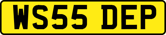 WS55DEP