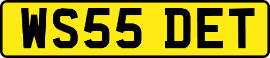 WS55DET