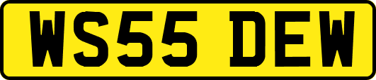 WS55DEW