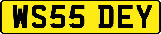 WS55DEY