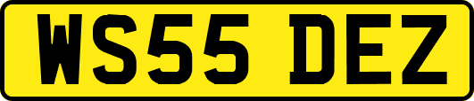 WS55DEZ