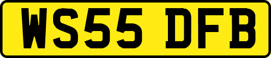 WS55DFB