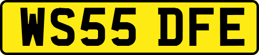 WS55DFE