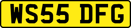 WS55DFG