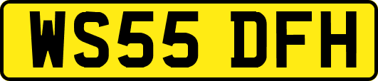 WS55DFH