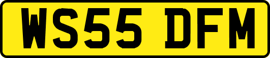 WS55DFM