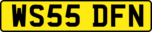 WS55DFN