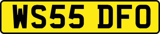 WS55DFO
