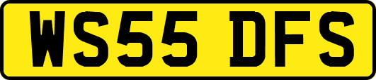 WS55DFS