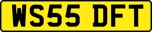 WS55DFT