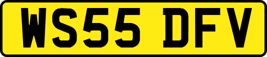 WS55DFV