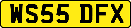 WS55DFX