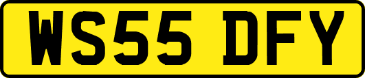 WS55DFY