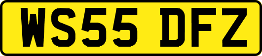 WS55DFZ