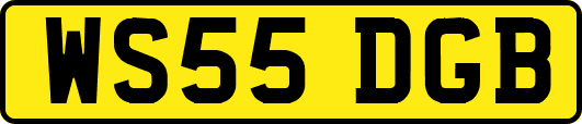 WS55DGB