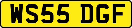 WS55DGF