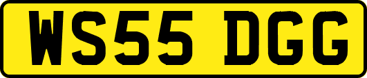 WS55DGG