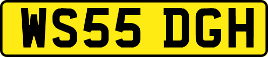 WS55DGH
